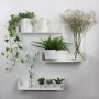 Etagères murales pour plantes en métal - Photo : étagères murales blanches 50 cm
