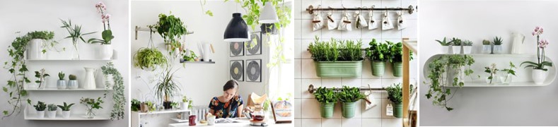 Idées de décoration de mur de cuisine : plantes et murs végétaux -